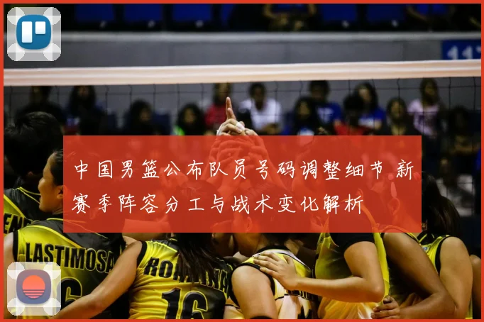 中国男篮公布队员号码调整细节 新赛季阵容分工与战术变化解析