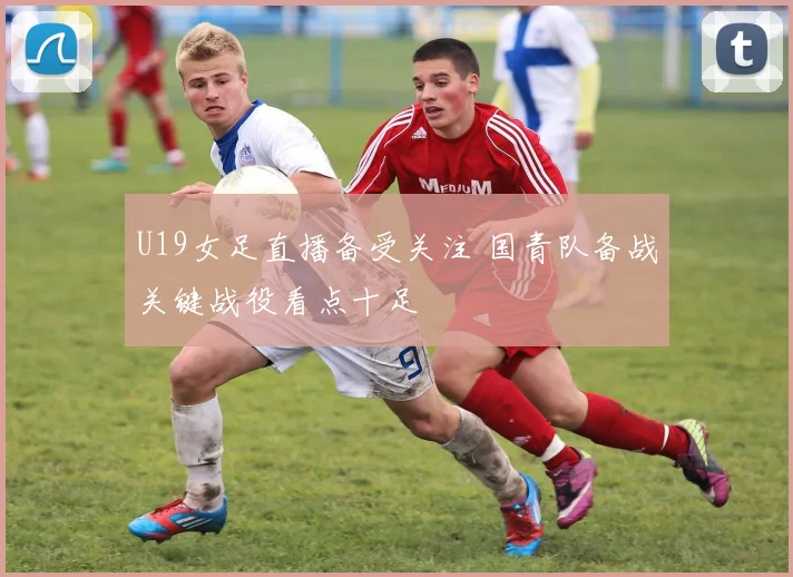 U19女足直播备受关注 国青队备战关键战役看点十足