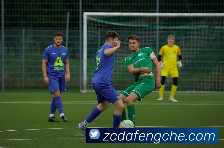 果动体育官网平台生态图